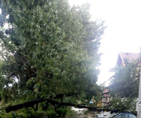 VREMEA a făcut RAVAGII în județul Brașov. Patru persoane au fost RĂNITE, dintre care doi MINORI