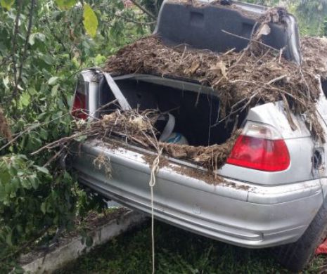 Accident mortal în Timiș I FOTO