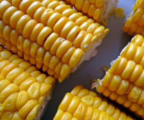 ALERTĂ la nivel EUROPEAN! Mai mulți oameni au MURIT după ce au consumat ACEST ALIMENT