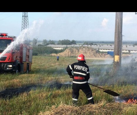 Arde câmpul la Tulcea. Lângă un complex zootehnic