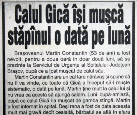 Armăsarul Gică care-și compostează stăpânul, lunar