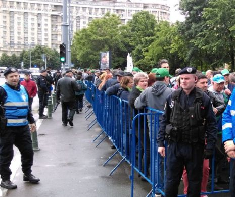 Autorizarea mitingului din 10 august se amână pentru săptămâna viitoare.  Gabriela Firea: „Este regretabil că o manifestație a diasporei este politizată de USR și PNL”