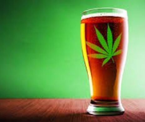Canadienii crează prima pe bază de cannabis din lume