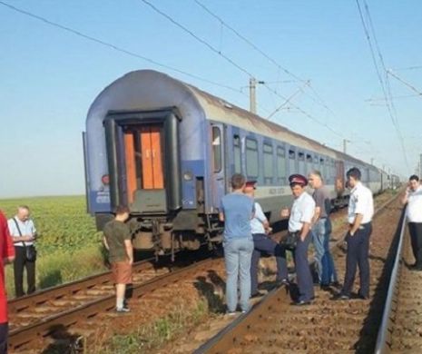 Circulaţia feroviară este blocată! Nu se mai circulă, arborii au căzut pe calea ferata