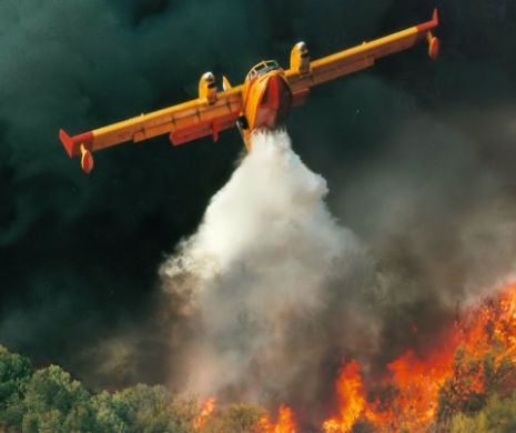 Incendii puternice în Suedia. AVERTIZARE de CĂLĂTORIE
