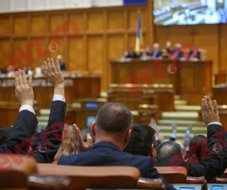INDEMNIZAȚIILE SPECIALE pentru aleși ar putea trece azi de PARLAMENT odată cu folosirea limbii materne a MINIORITĂȚILOR NAȚIONALE în administraţia locală