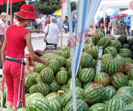 Isteria harbuzului contaminat. Recomand medicului: „Spălaţi bine pepenele bine pepenele şi cuţitul cu care-l tăiaţi!”