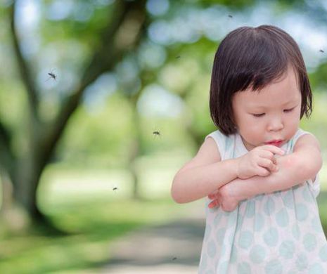 Medicii avertizeaza! Înțepăturile de insecte pot fi periculoase. O simpla muscatura de tânâar poate provoca o boala grava. Ce să NU faci vara asta