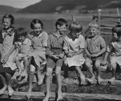 Micii afaceriști din Marele Război. Ouă contra ciocolată