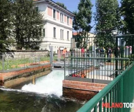 Moarte cumplită pentru un hoţ român urmărit de poliţie în Italia