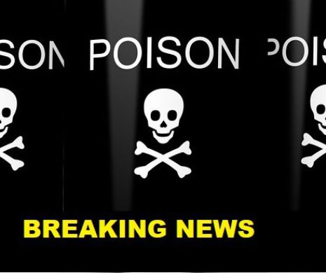 PANICĂ în Europa! Porumbul din Ungaria este infestat cu o BACTERIE MORTALĂ!