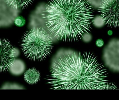 ȘOCANT! Bulgarii construiesc UN GARD La granița cu România. Epidemia i-a SPERIAT