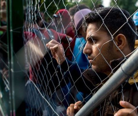„Suntem într-un moment crucial privind imigrația... Țările din Europa de Est au o mare influență asupra Occidentului”