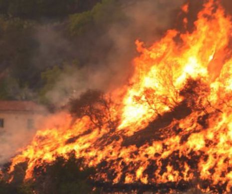 Trafic feroviar OPRIT! INCENDIU PUTERNIC într-o gară importantă