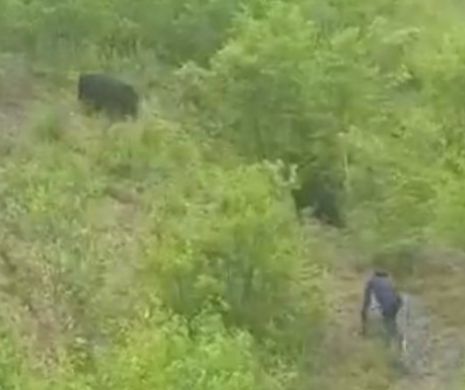 Urs versus bețiv. CUM S-A TERMINAT LUPTA? Video viral