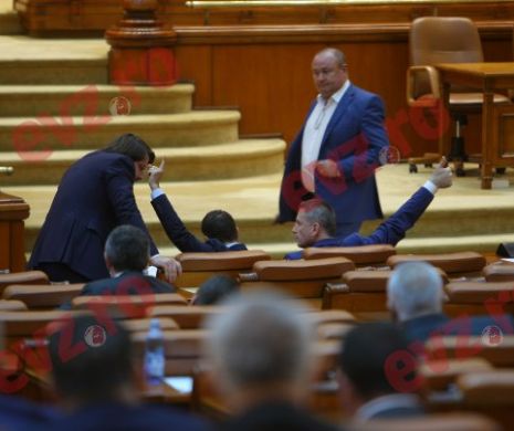 Votul din Parlament, dincolo de scandal. Codul Penal, modificat cu girul Comisiei de la Veneția