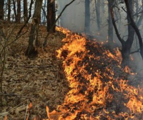 ALERTĂ. Incendiu devastator în apropiere de bombe şi proiectile neexplodate
