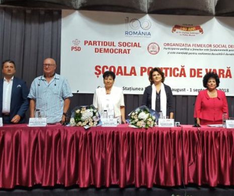 ARMISTIȚIU politic, pe perioada Presedinției Române a Consiliului Europei, PROPUS de europarlamentarul IOAN MIRCEA PAȘCU