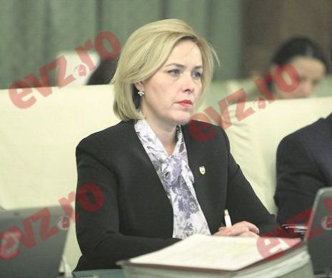 CARMEN DAN și RAED ARAFAT audiați în PARLAMENT