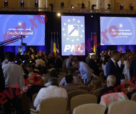 Ce au lăsat liberalii la Palatul Parlamentului în sala de protocol la cel mai înalt nivel