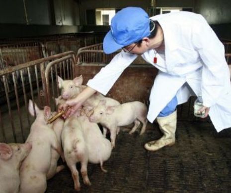 DEZASTRU în România. Există o singură SOLUȚIE. Se cer demisii la NIVEL ÎNALT. NEWS ALERT
