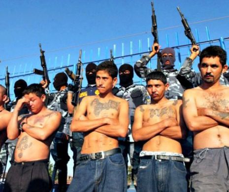 Imigrant ILEGAL, care a tras cu arma pe STRADĂ, invocă Al Doilea Amendament