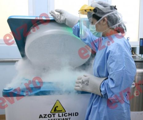 Medicament anti-cancer, testat cu succes pe animale