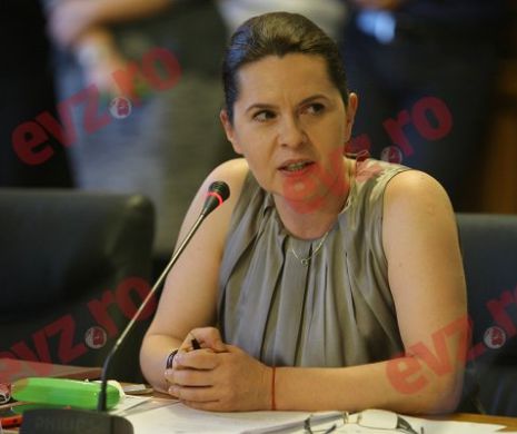 Mitingul diasporei. DEZAMĂGIRE și INDIGNARE pentru un important politician al OPOZIȚIEI.