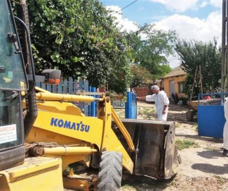 Se extinde pesta porcină africană în județul Constanța. Mii de animale, ucise