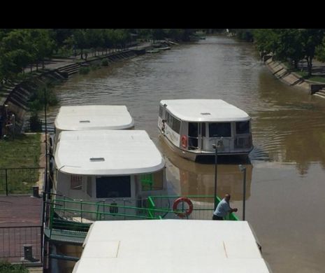 Timișoara, ca Veneția.  Când începe transportul public cu vaporașe