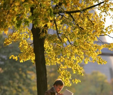 Toamnă cu temperaturi de vară