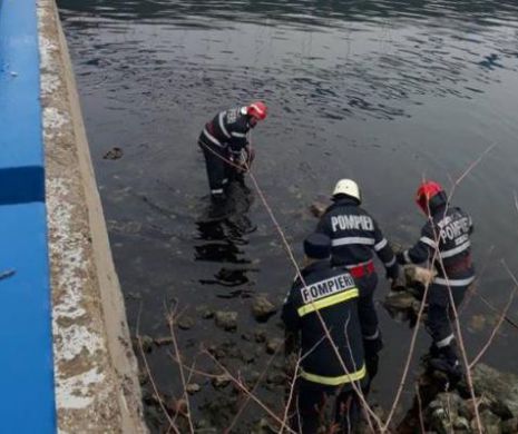 TRAGEDIE pe Dunare. Crimă sau sinucidere?