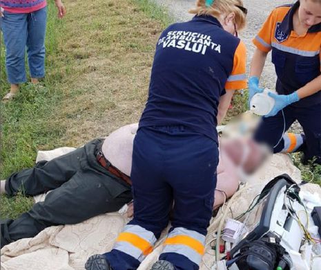 VASLUI. Pădurar omorât de albine ucigaşe