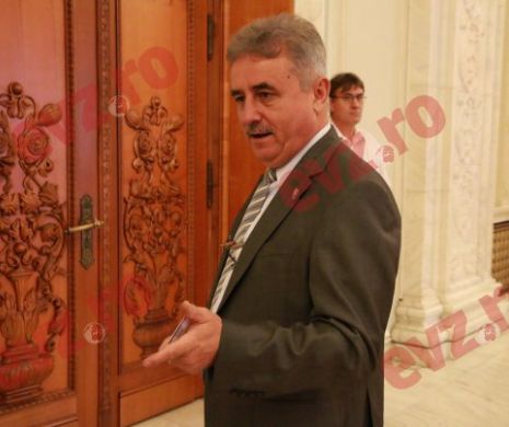 Viorel Ştefan, favorit pentru şefia ASF