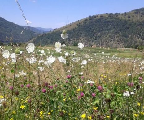 Arxavia - cetatea în care încă se mai aud dansând cavalerii Imperiului Habsburgic