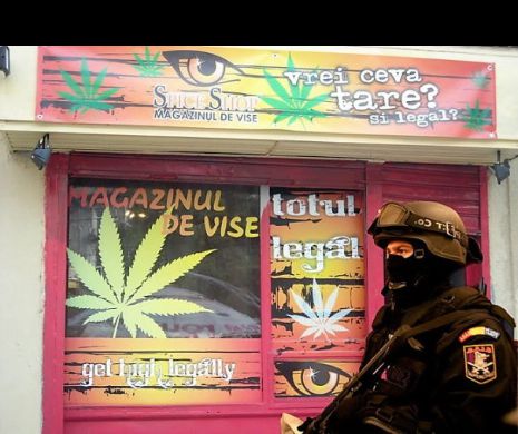 Asociația Antidrog “Tomis” Constanța cere modificarea legii care permite consumul de etnobotanice