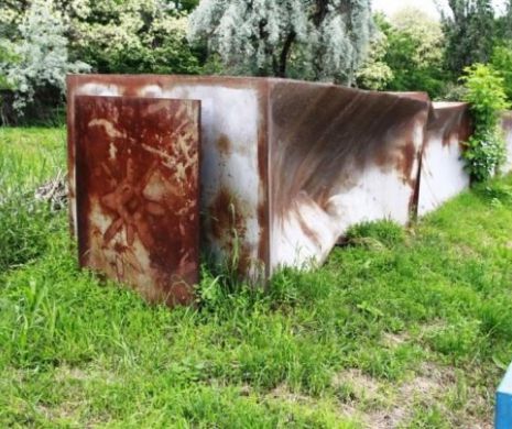 Constantin Brâncuşi, subiect de scandal în două judeţe