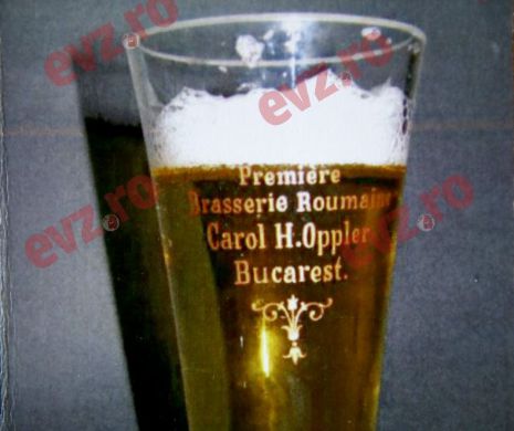 EFECTUL miraculos al BERII. Bărbații știu de ce