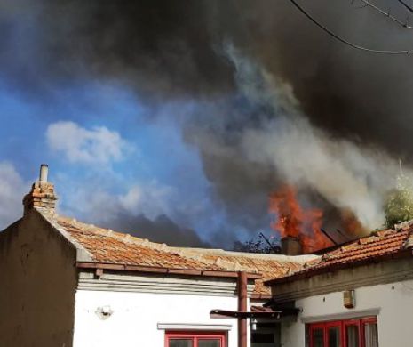 INCENDIU DEVASTATOR la Constanța. Ard TREI CASE case