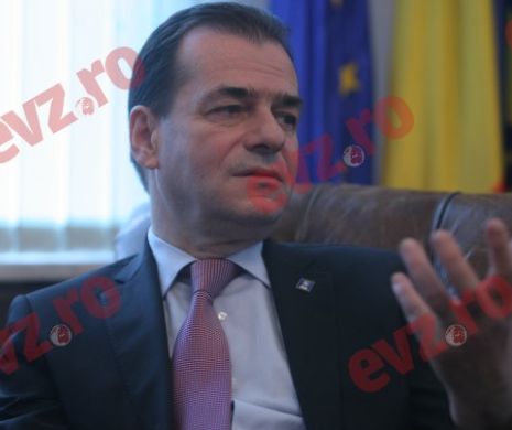 Liberalii au mers la Parlament în ultima zi de vacanță