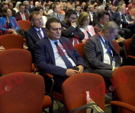 Maior, făcut K.O. de Tăriceanu. Cuvintele care DECLANȘEAZĂ un RĂZBOI între cei doi „GREI”