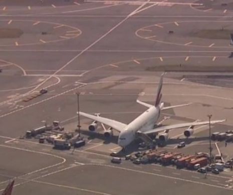 PANICĂ pe AEROPORT. Urmărire ca în FILME pentru PRINDEREA INFRACTORULUI. Zborurile au FOST ANULATE