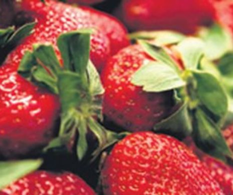 PERICOLUL din CĂPȘUNE. Ce au GĂSIT cumpărătorii în FRUCTE