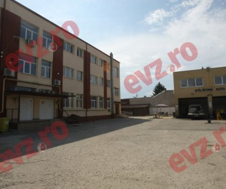 Povestea fabuloasă a unui proiect de viaţă reuşit. Atelierele Nazarcea, locul în care persoanele cu dizabilități își făuresc propriul destin