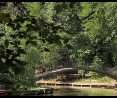 Primăria Capitalei a pus ochii pe Parcul Naţional. Ce vor să facă edilii acolo