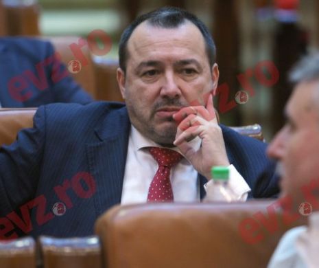RĂDULESCU despre TRACTORIȘTII și BURGHEZII din PSD