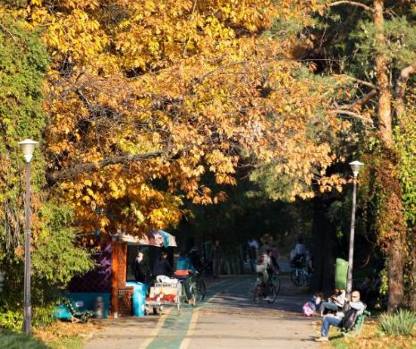 Vremea va fi călduroasă în următoarea lună