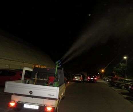 ALERTĂ! Este INVAZIE în București. GÂNGANIA care TERORIZEAZĂ populația. NIMIC nu ne scapă de ea