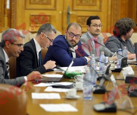 AUDIERI în Comisia de ANCHETĂ a  SPP. Un șef al serviciului, invitat la PARLAMENT