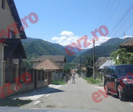 Caz ȘOCANT în ROMÂNIA. URS INTRAT peste oameni în CURTE. AUTORITĂȚILE au INTERVENIT